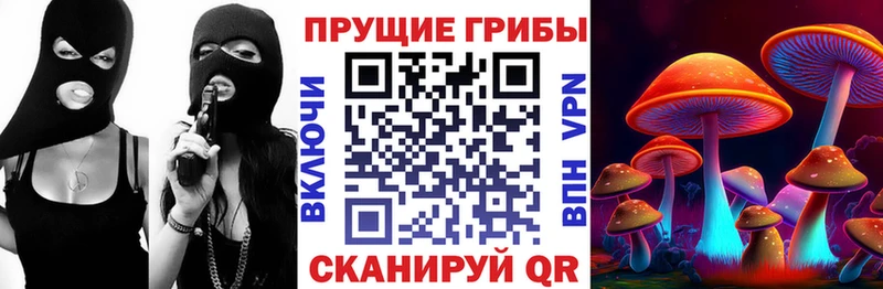 Галлюциногенные грибы ЛСД ОМГ ОМГ Ардатов