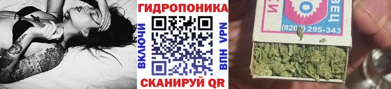 Бошки марихуана AK-47  купить   Ардатов 